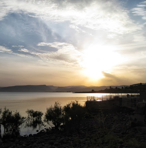 Edith Lawrence Photo 5