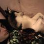 William Connor Photo 46
