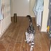 Freddie Silver Photo 7