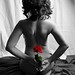Teri Rose Photo 30