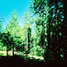 Stephen Pine Photo 24