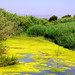 Frank Llosa Photo 7