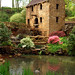 Brian Mills Photo 34