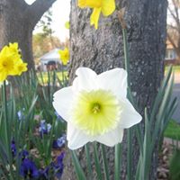 Linda Fraley Photo 25