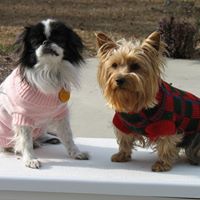 Lucy Mcneely Photo 6