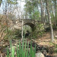 Debra Mcrae Photo 4