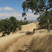Alan Gates Photo 39