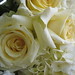 Becky Taylor Photo 12