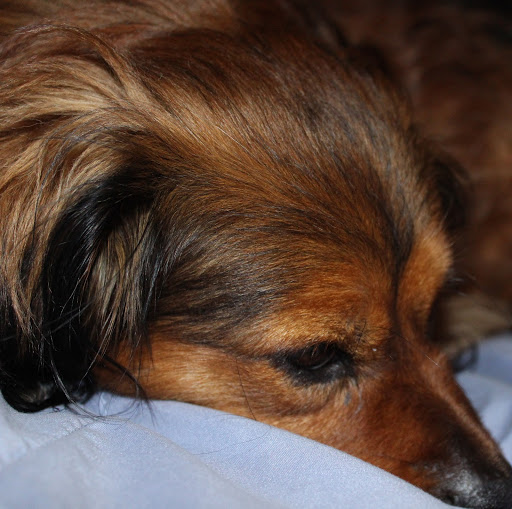 Mary Repass Photo 14