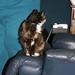 Cathy Haskell Photo 7