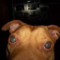 Jeanne Erickson Photo 24