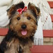 Shelly Bailey Photo 19