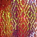 Barbara Diamond Photo 14