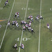 Bernard Peterson Photo 19