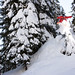 Ryan Davis Photo 68