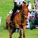 Debbie Chestnut Photo 6