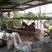 Sharon Ponce Photo 7