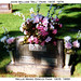 William Parr Photo 12
