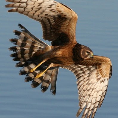 Daniel Potter Photo 35