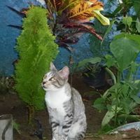 Angelina Mata Photo 2
