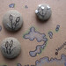 Suzanne Shearer Photo 11