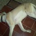 Fidel Contreras Photo 36