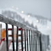 Sue Brisson Photo 1