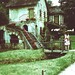 Antoinette Cross Photo 9