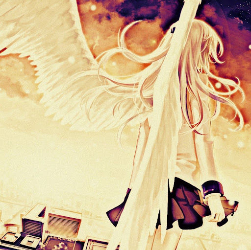 Summer King Photo 5
