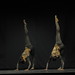 Lucia Russo Photo 26