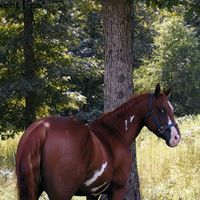 Michele Stokes Photo 33
