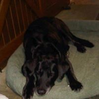Andrea Knox Photo 15