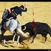 Lorenzo Ventura Photo 18