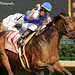 Stephen Foster Photo 50