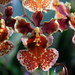 Susan Evans Photo 42