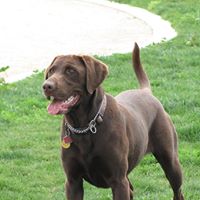 Jeannine Barrera Photo 5