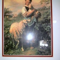 Jean Young Photo 10