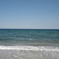 Jenny Pelt Photo 12