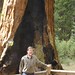 Todd Sherman Photo 31