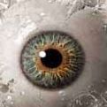 Danny Blank Photo 18