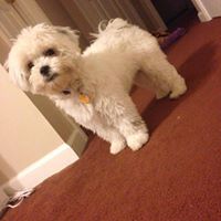 Alice Webb Photo 34