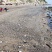 Barbara Low Photo 9