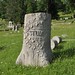 Virginia Stump Photo 10