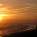 Carl Holiday Photo 15