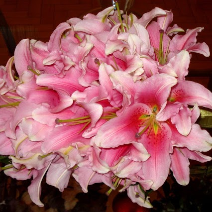 Regina Curtis Photo 18