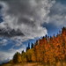 Susan Whitlock Photo 33
