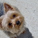 Frankie Rogers Photo 15