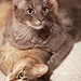 Gary Richards Photo 15