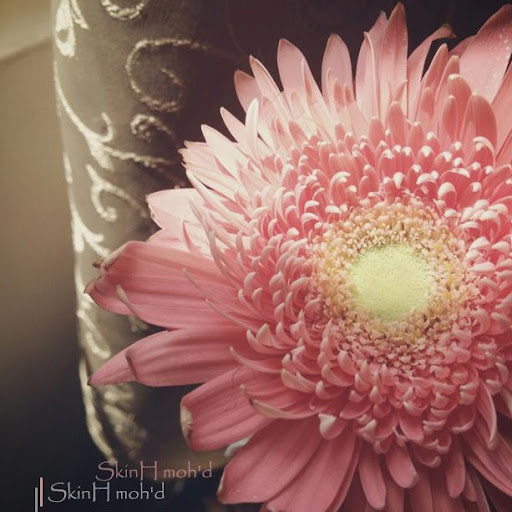 Fatimah Mohammad Photo 3