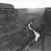 William Crook Photo 23